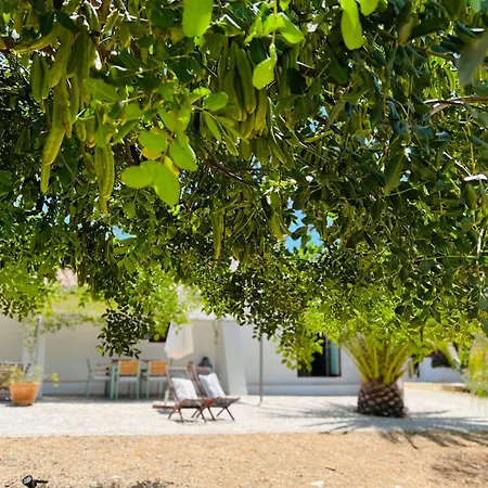 Quinta Da Vida * Moncarapacho