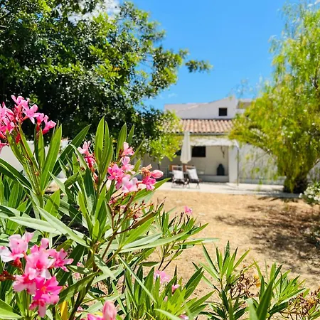 Quinta Da Vida