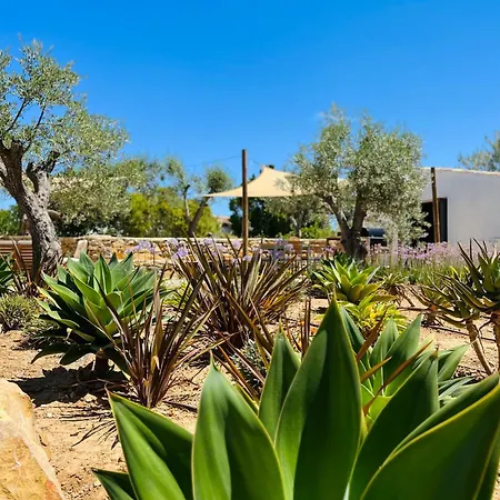 Quinta Da Vida