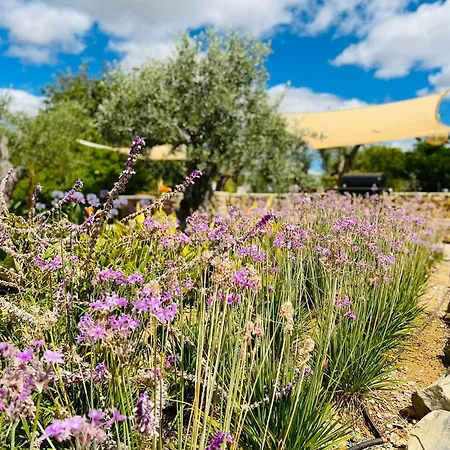 Country house Quinta Da Vida *
